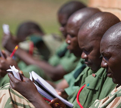 Black Swan Medical Learners